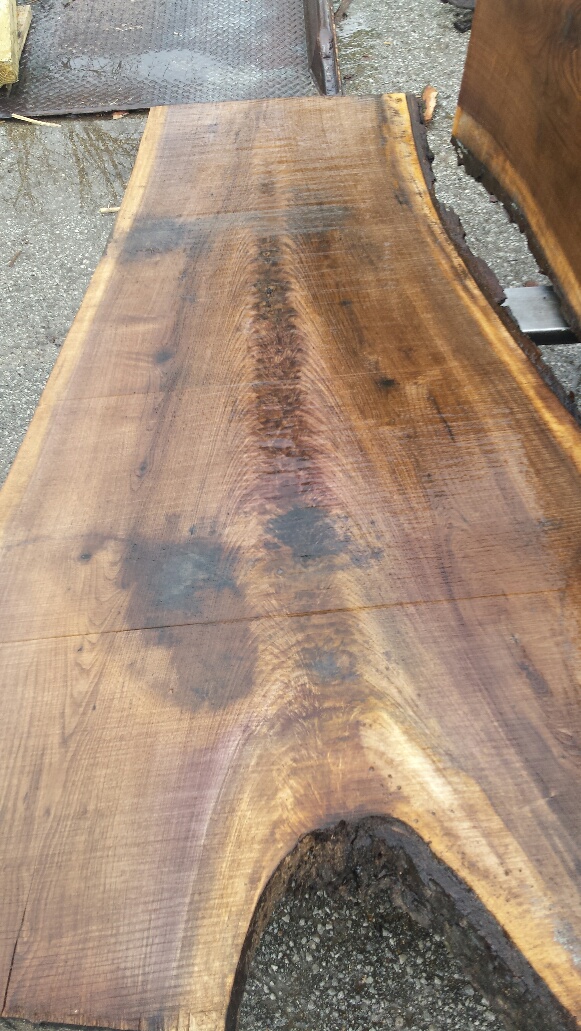 FeatherGrain/Walnut Crotch - Marwood Species Slabs